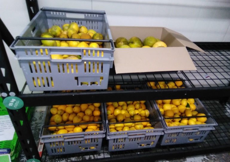 Lemons from Community Fruit at Kaibosh.